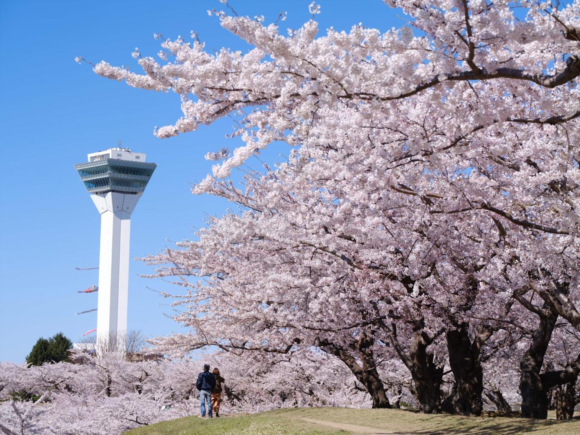 Gran Palette Hakodate Exteriér fotografie